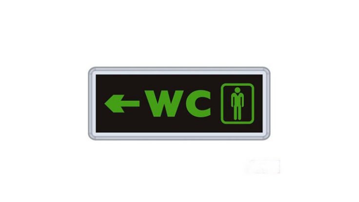 MS010 Çift Yönlü Acil Yönlendirme Armatürü(Bay Wc)