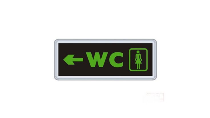MS011 Çift Yönlü Acil Yönlendirme Armatürü (Bayan Wc)